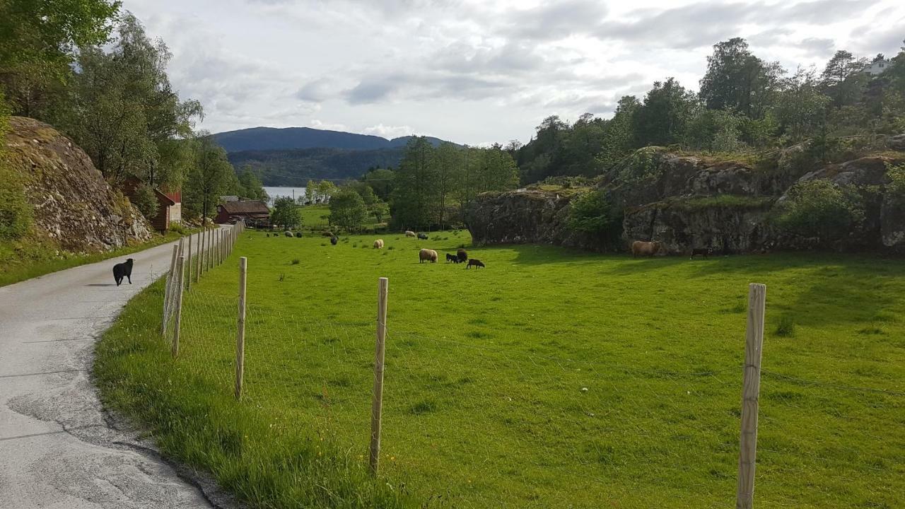 Molvik Hytten Villa Ostereidet Dış mekan fotoğraf