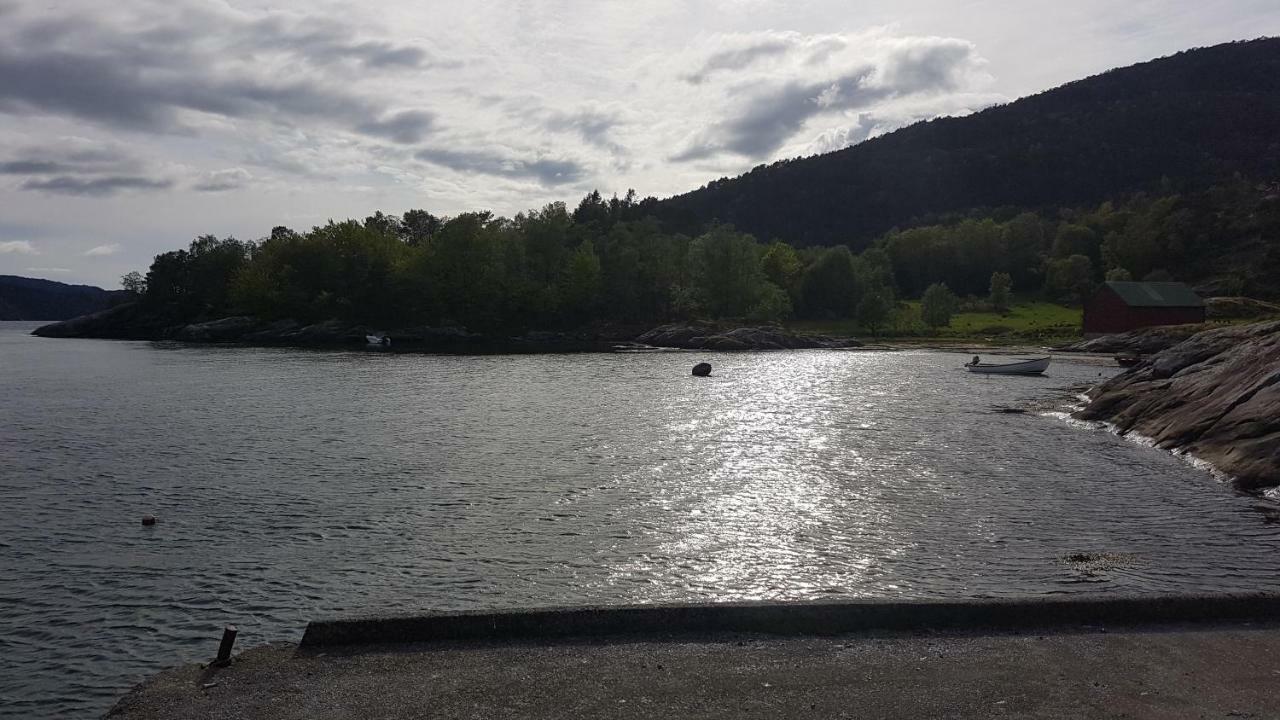Molvik Hytten Villa Ostereidet Dış mekan fotoğraf